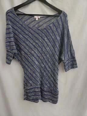 Bongo Striped Metallic Knit Dolman Sleeve Top
